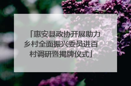 惠安县政协开展助力乡村全面振兴委员进百村调研暨揭牌仪式