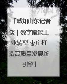 感知山东记者谈｜数字赋能工业转型 枣庄打造高质量发展新引擎