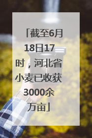 截至6月18日17时，河北省小麦已收获3000余万亩