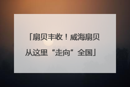 扇贝丰收！威海扇贝从这里“走向”全国