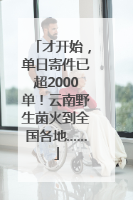 才开始，单日寄件已超2000单！云南野生菌火到全国各地……