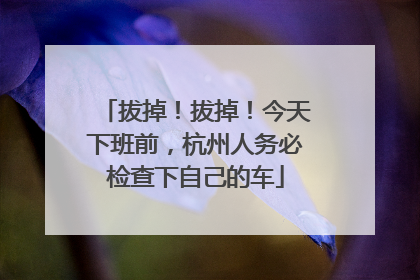 拔掉！拔掉！今天下班前，杭州人务必检查下自己的车