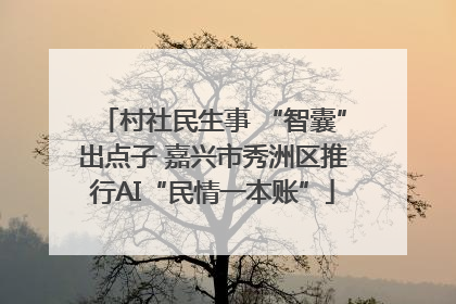 村社民生事 “智囊”出点子 嘉兴市秀洲区推行AI“民情一本账”