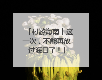 村游海南丨这一次，不能再放过海口了！