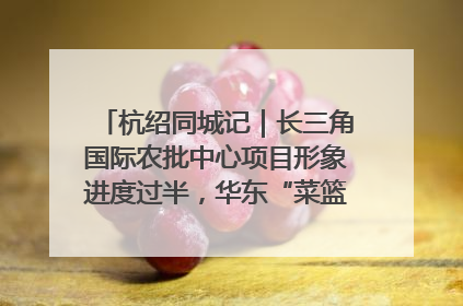 杭绍同城记｜长三角国际农批中心项目形象进度过半，华东“菜篮子”建设加码提速！