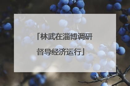 林武在淄博调研督导经济运行