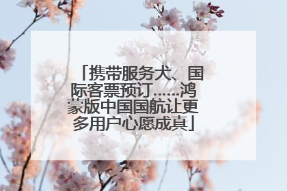 携带服务犬、国际客票预订……鸿蒙版中国国航让更多用户心愿成真