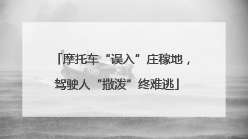 摩托车“误入”庄稼地，驾驶人“撒泼”终难逃