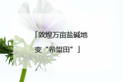 敦煌万亩盐碱地变“希望田”