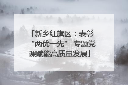 新乡红旗区：表彰 “两优一先” 专题党课赋能高质量发展