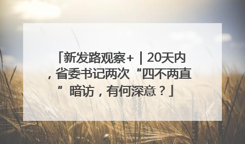 新发路观察+｜20天内，省委书记两次“四不两直”暗访，有何深意？