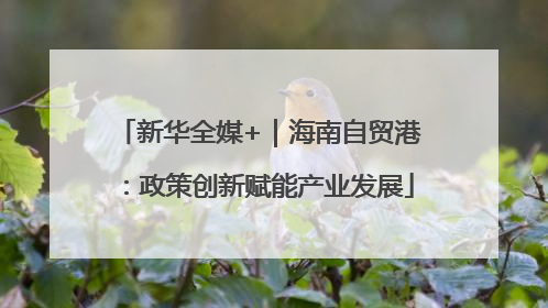 新华全媒+｜海南自贸港：政策创新赋能产业发展