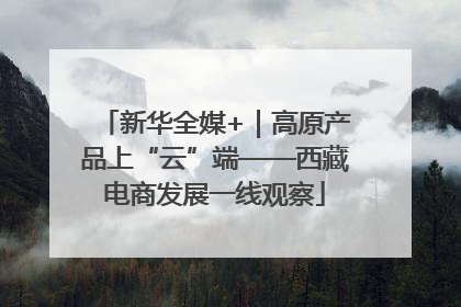 新华全媒+｜高原产品上“云”端——西藏电商发展一线观察