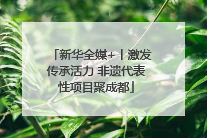 新华全媒+丨激发传承活力 非遗代表性项目聚成都