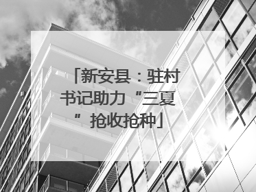 新安县：驻村书记助力“三夏”抢收抢种