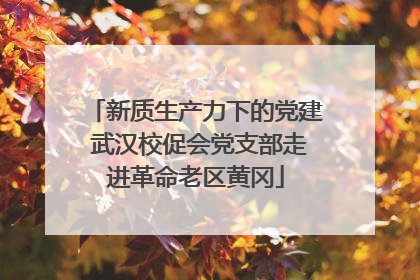 新质生产力下的党建 武汉校促会党支部走进革命老区黄冈