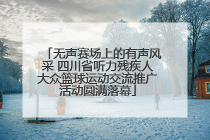 无声赛场上的有声风采 四川省听力残疾人大众篮球运动交流推广活动圆满落幕