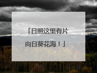日照这里有片向日葵花海！