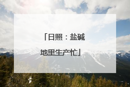 日照：盐碱地里生产忙