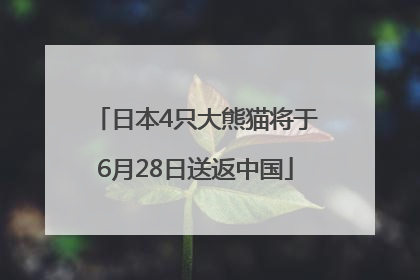 日本4只大熊猫将于6月28日送返中国
