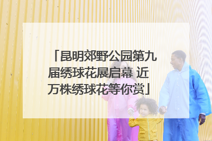 昆明郊野公园第九届绣球花展启幕 近万株绣球花等你赏
