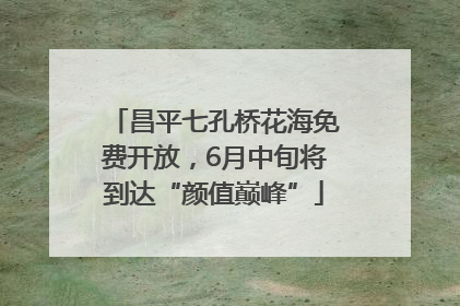 昌平七孔桥花海免费开放，6月中旬将到达“颜值巅峰”