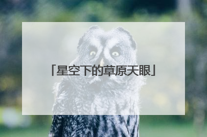 星空下的草原天眼