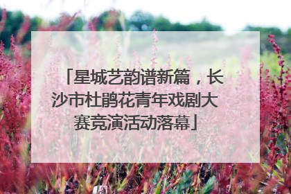 星城艺韵谱新篇，长沙市杜鹃花青年戏剧大赛竞演活动落幕