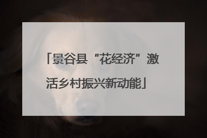 景谷县“花经济”激活乡村振兴新动能