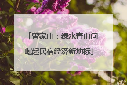 曾家山：绿水青山间崛起民宿经济新地标