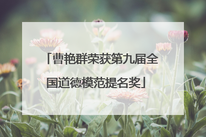 曹艳群荣获第九届全国道德模范提名奖
