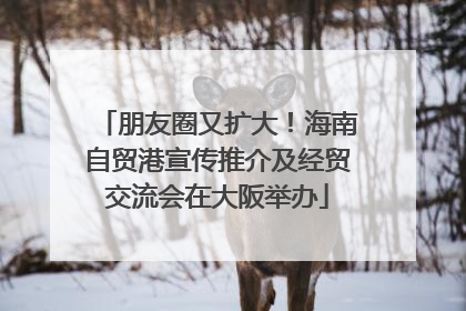 朋友圈又扩大！海南自贸港宣传推介及经贸交流会在大阪举办