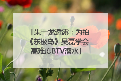 朱一龙透露：为拍《东极岛》吴磊学会高难度BTV潜水