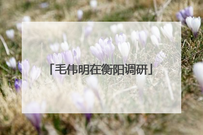 毛伟明在衡阳调研
