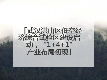武汉洪山区低空经济综合试验区建设启动，“1+4+1”产业布局初现