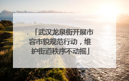 武汉龙泉街开展市容市貌规范行动，维护街道秩序不动摇