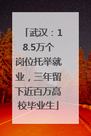 武汉：18.5万个岗位托举就业，三年留下近百万高校毕业生