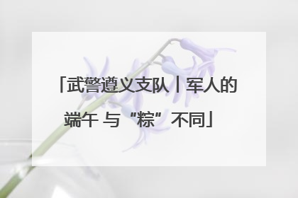 武警遵义支队︱军人的端午 与“粽”不同