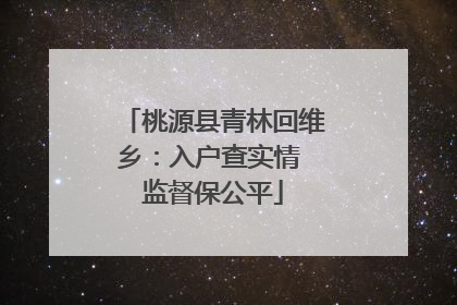 桃源县青林回维乡：入户查实情 监督保公平