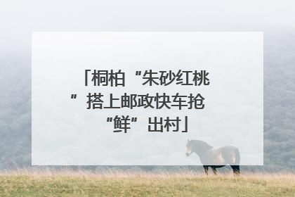 桐柏“朱砂红桃”搭上邮政快车抢“鲜”出村