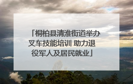 桐柏县清淮街道举办叉车技能培训 助力退役军人及居民就业