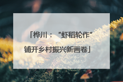 桦川：“虾稻轮作”铺开乡村振兴新画卷