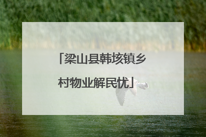 梁山县韩垓镇乡村物业解民忧