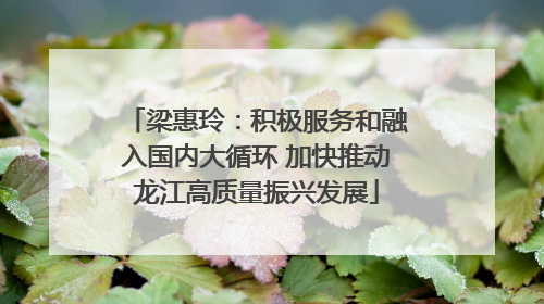 梁惠玲：积极服务和融入国内大循环 加快推动龙江高质量振兴发展
