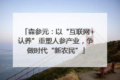 森参元：以“互联网+认养”重塑人参产业，争做时代“新农民”