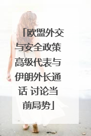 欧盟外交与安全政策高级代表与伊朗外长通话 讨论当前局势