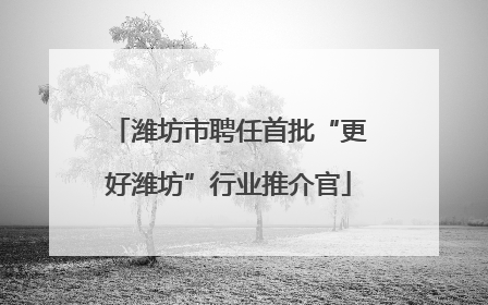 潍坊市聘任首批“更好潍坊”行业推介官
