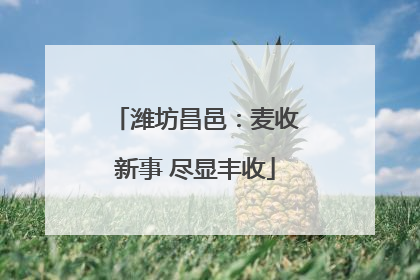 潍坊昌邑：麦收新事 尽显丰收
