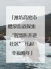 潍坊高密市醴泉街道探索“智慧医养进社区” 托起幸福晚年