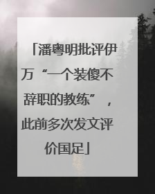 潘粤明批评伊万“一个装傻不辞职的教练”，此前多次发文评价国足